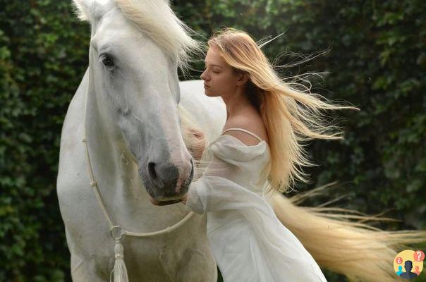 Soñar con montar a caballo: ¿Qué significados?