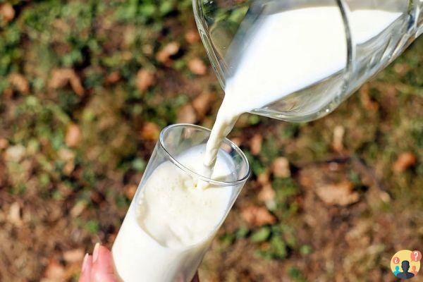 Soñar con leche: ¿Qué significados?